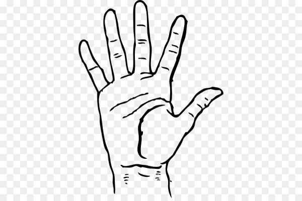 Изображение руки человека