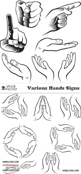 Графическое изображение рук