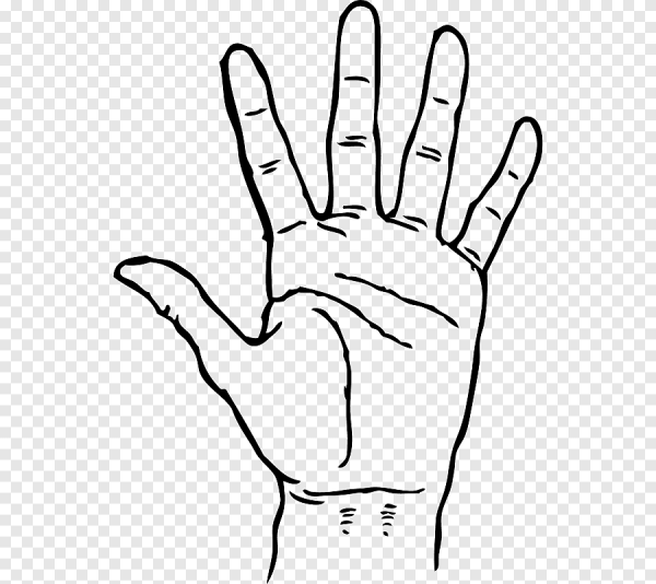 Ладонь контур без фона