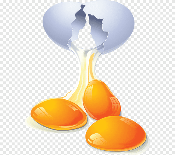 Яйцо вектор