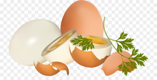 Яйцо куриное вектор