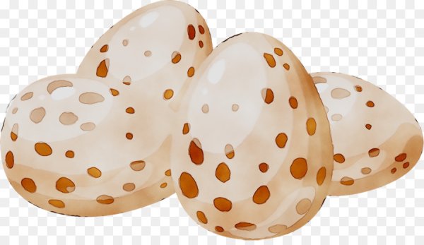 Перепелиное яйцо вектор