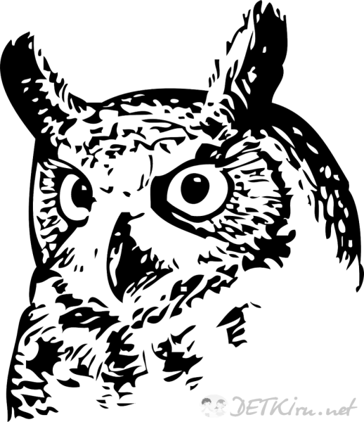 Сова голова векторное