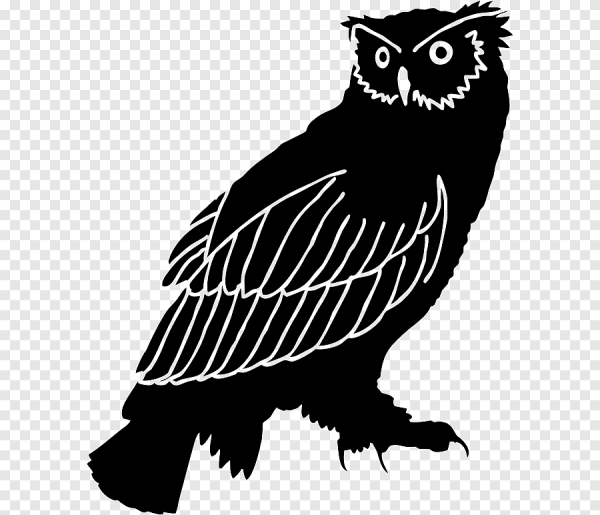 Сова векторное изображение