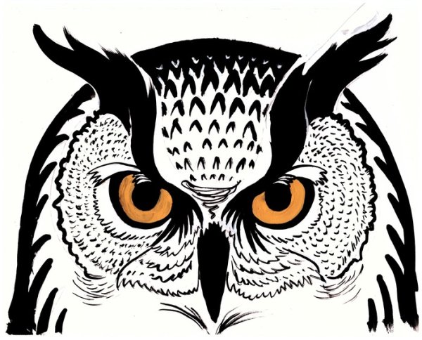 Сова Графика