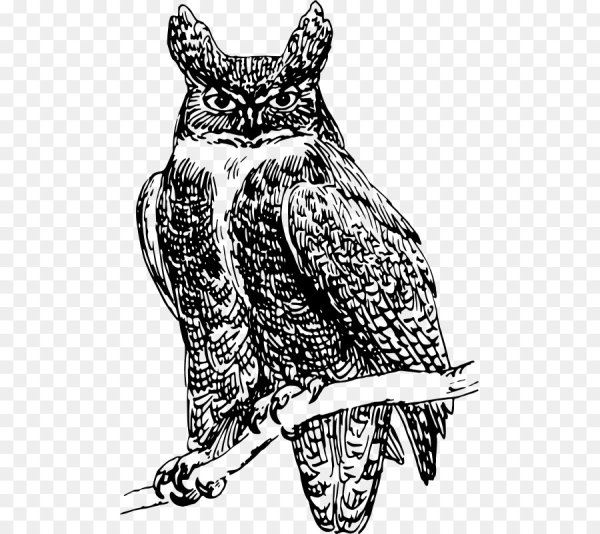 Векторный Филин