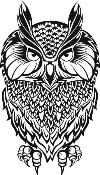 Стилизация Совы в графике