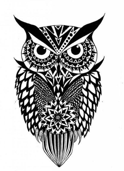 Сова тату эскиз