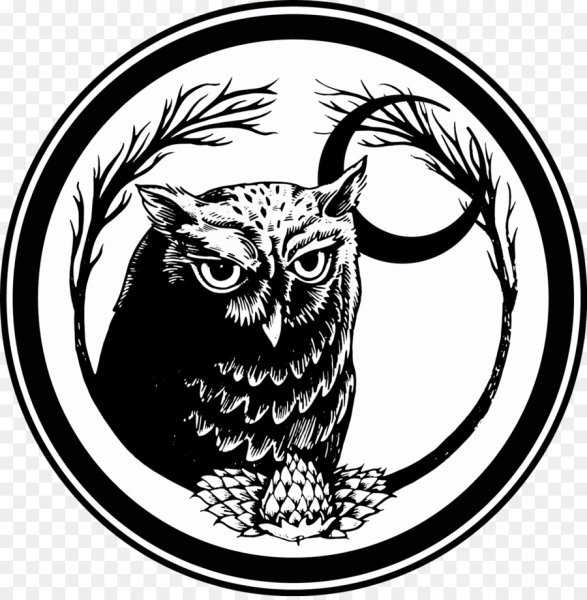 Филин в круге