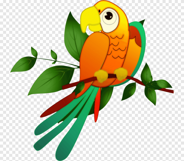 Векторный попугай