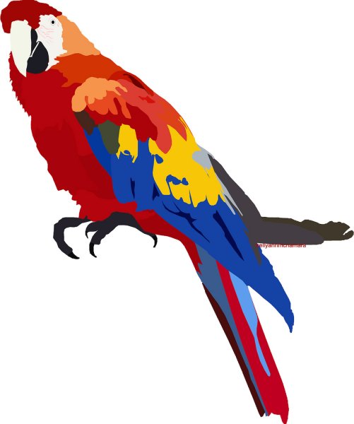 Попугай стилизация