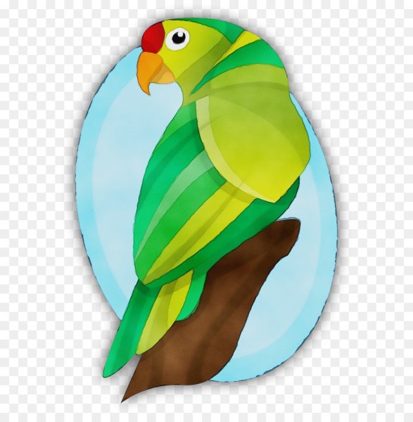 Векторный попугай