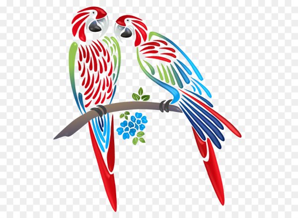 Попугайчик мультяшный