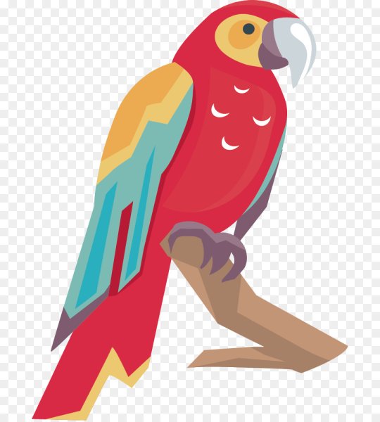 Векторный попугай