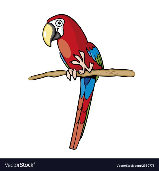 Попугай вектор