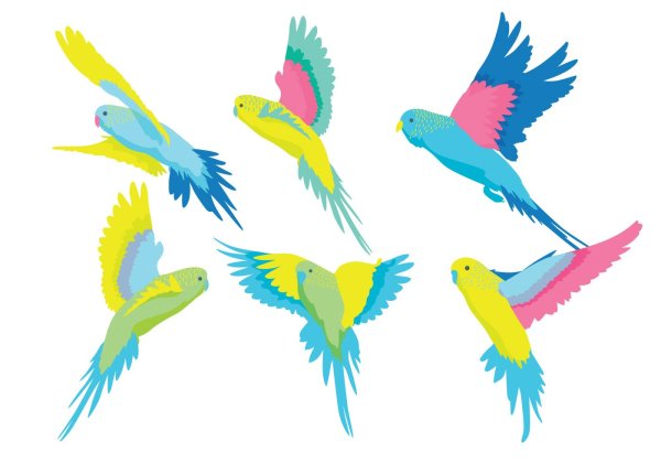 Попугай для детей вектор