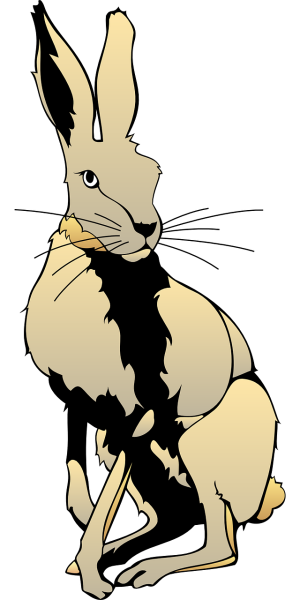 Заяц векторное изображение