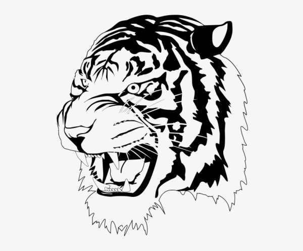 Рисунки в формате bmp