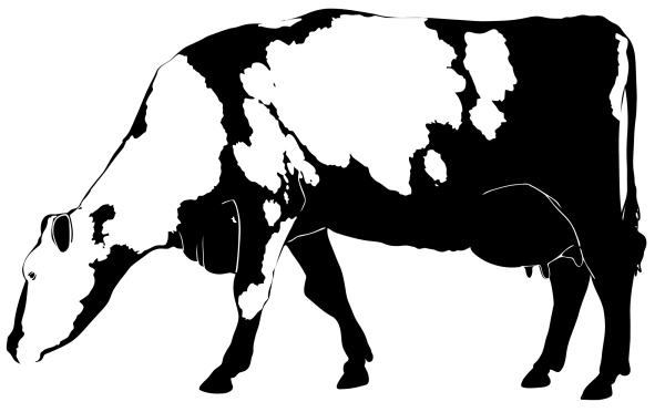 Корова вектор