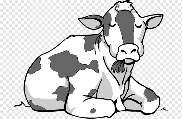 Корова рисунок