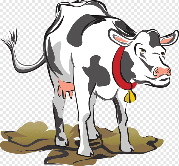 Очертания коровы