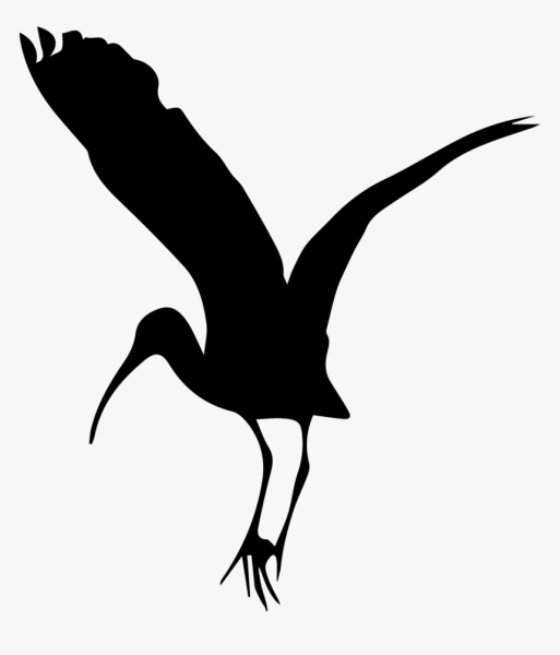 Аист векторный