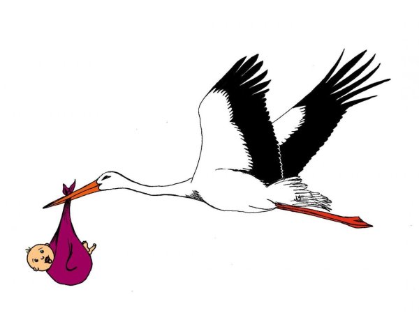 Аисты мультяшные