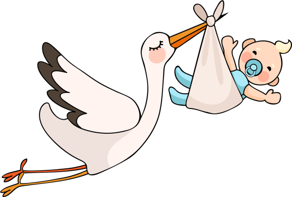 Аист с ребенком