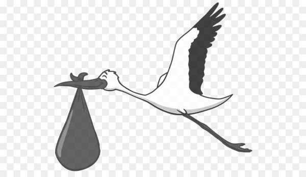 Аист с ребенком