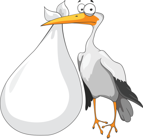 Аист на прозрачном фоне