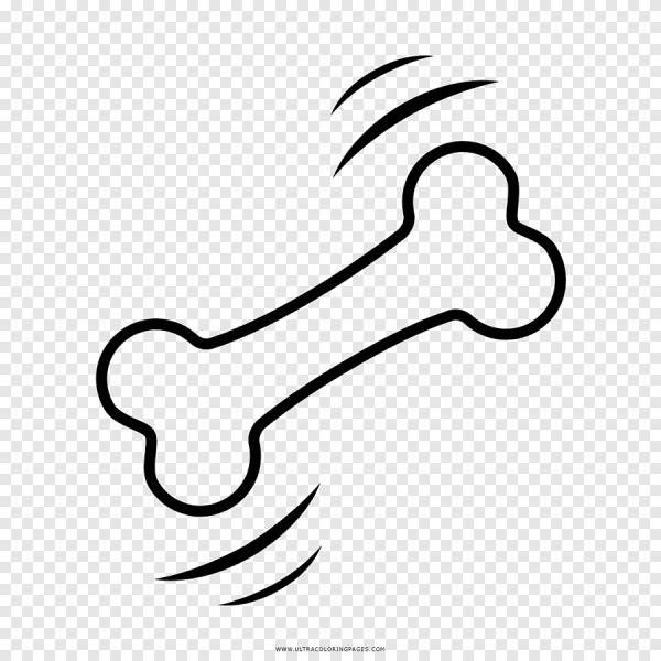 Косточка раскраска