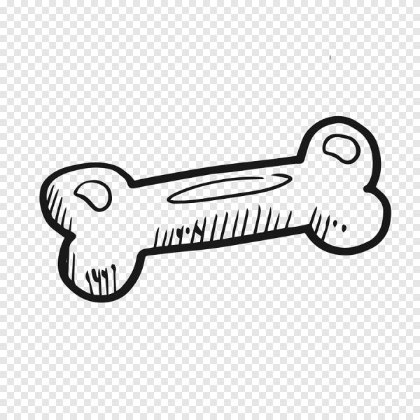 Косточка раскраска