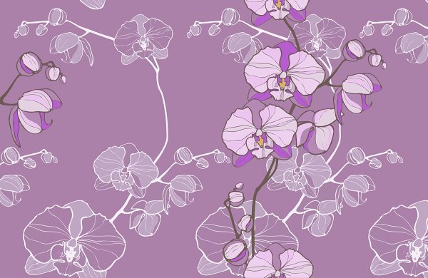 Веточка орхидеи