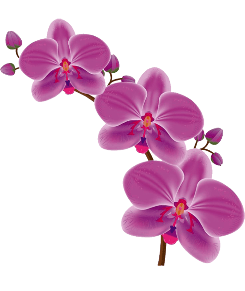 Стилизованная Орхидея