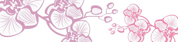 Стилизованная Орхидея