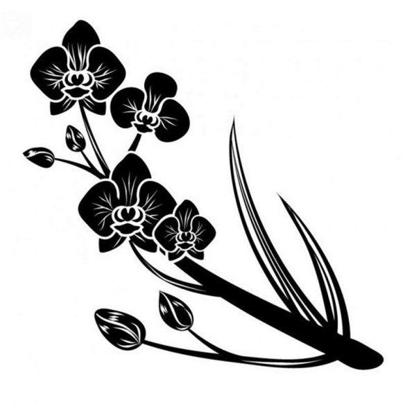 Орхидея розовая