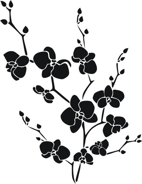 Векторная Орхидея