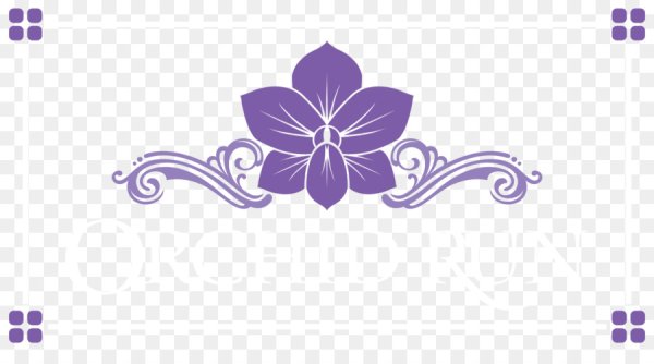 Цветы карандашом орхидеи