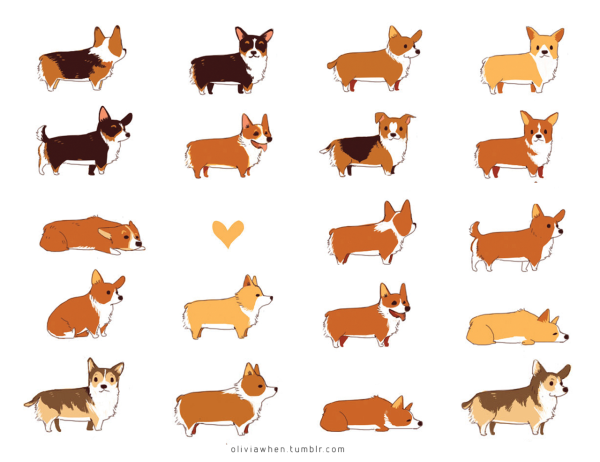 Вельш корги пемброк окрасы рисунок
