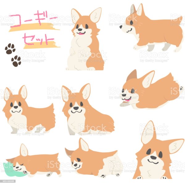 Корги Графика