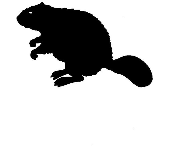 Бабр силуэт