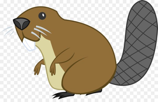 Бобры мультяшные