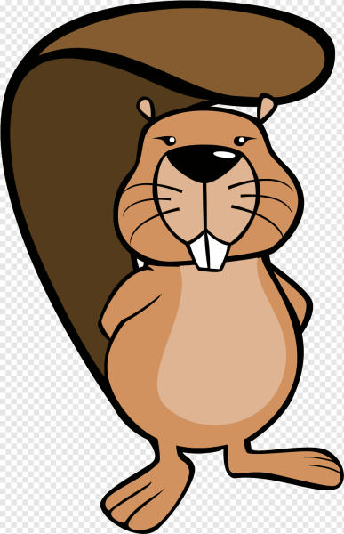 Бобер нарисованный