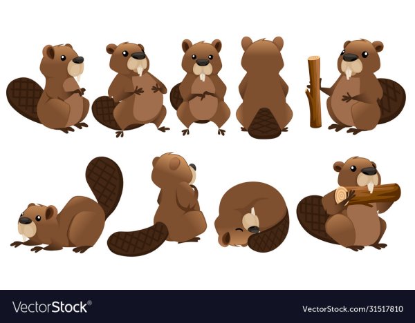 Референсы Бобров