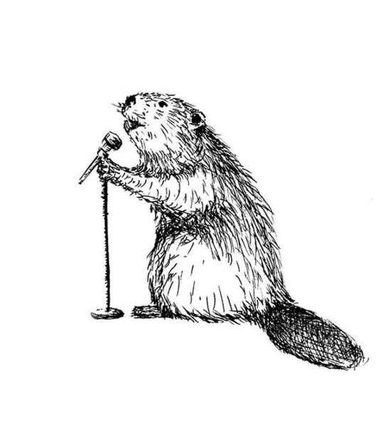 Обыкновенный Бобр