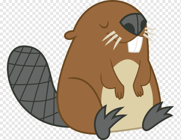 Рисунки Бобров