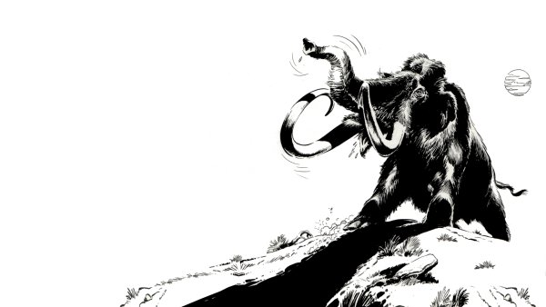 Черно белая Графика