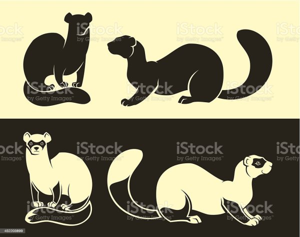 Стилизованное изображение соболя