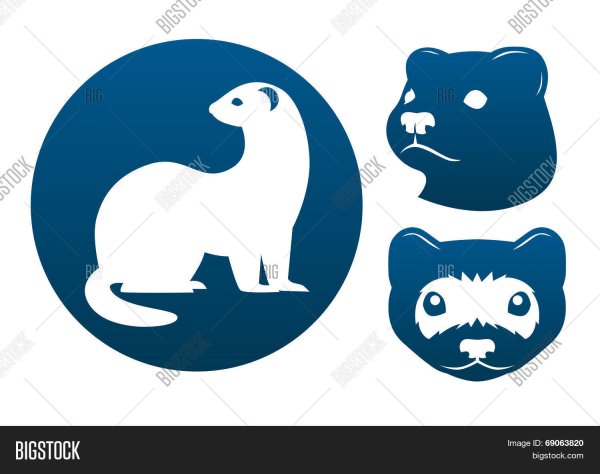 Соболь символ