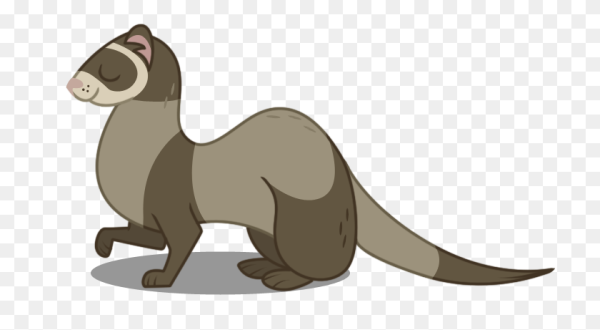 Хорек вектор